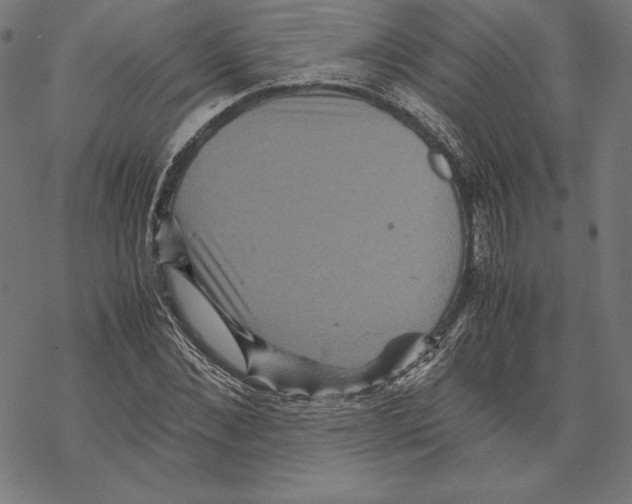 X0000067850876200605111705