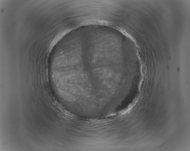 X0000067850877200605111705