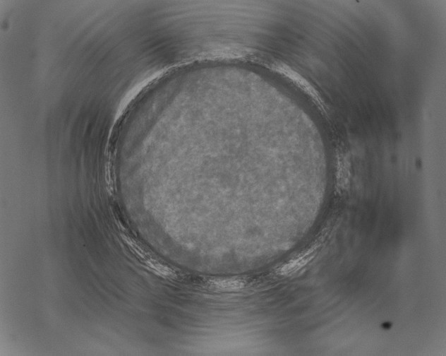 X0000067850878200605111705