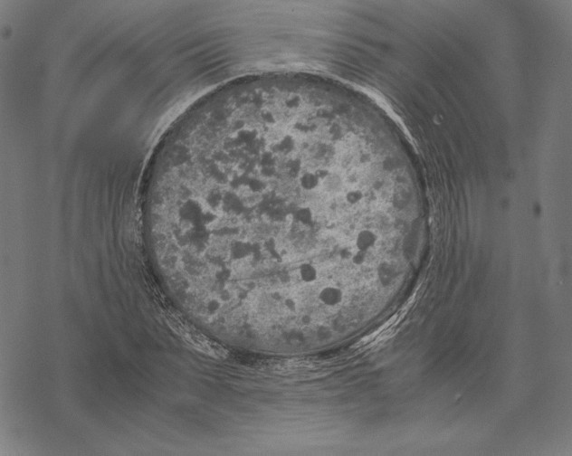 X0000067850879200605111705