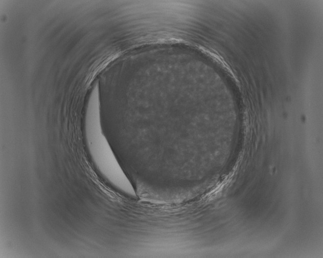 X0000067850881200605111705