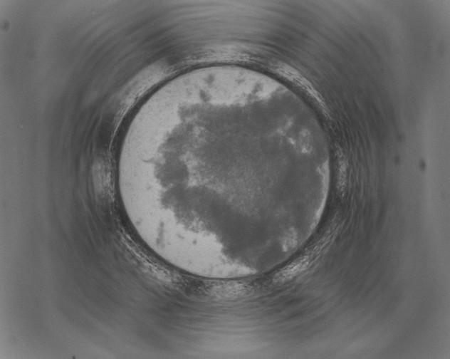 X0000067850882200605111705