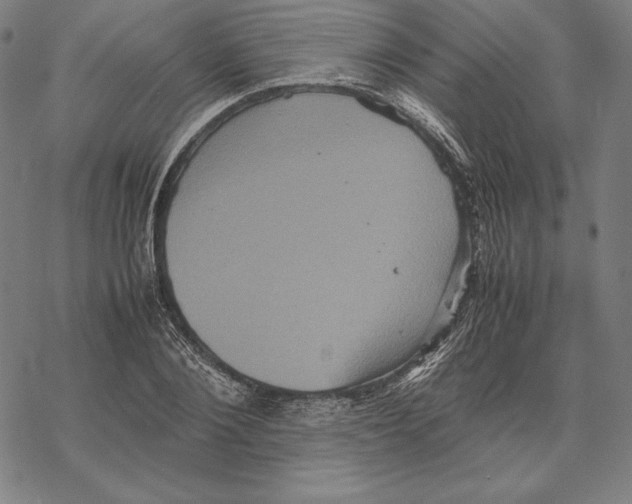 X0000067850884200605111705