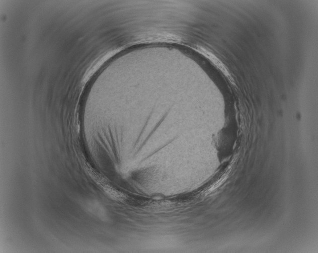 X0000067850885200605111705