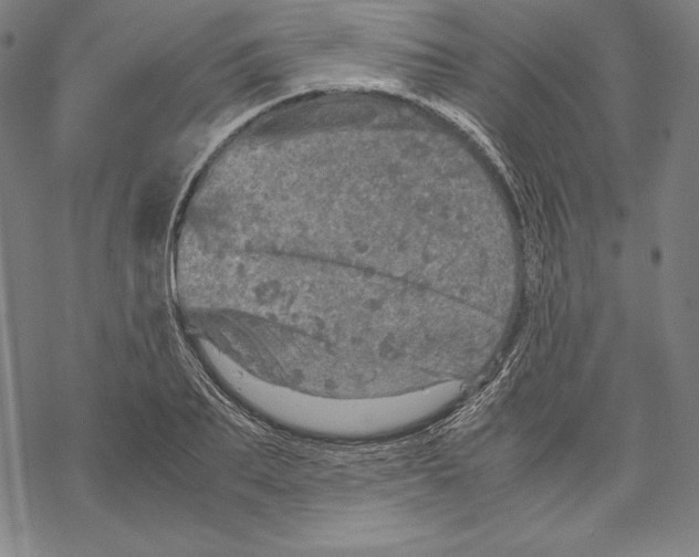 X0000067850887200605111705