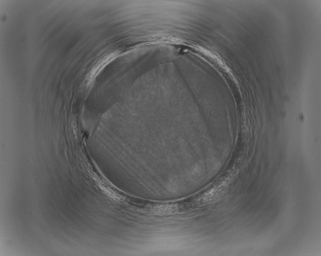 X0000067850889200605111705