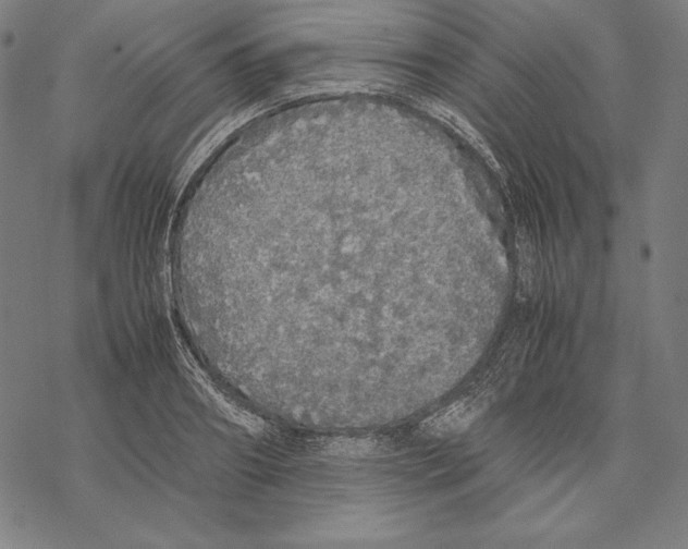 X0000067850890200605111705