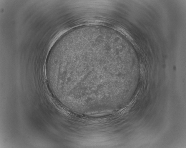 X0000067850891200605111705