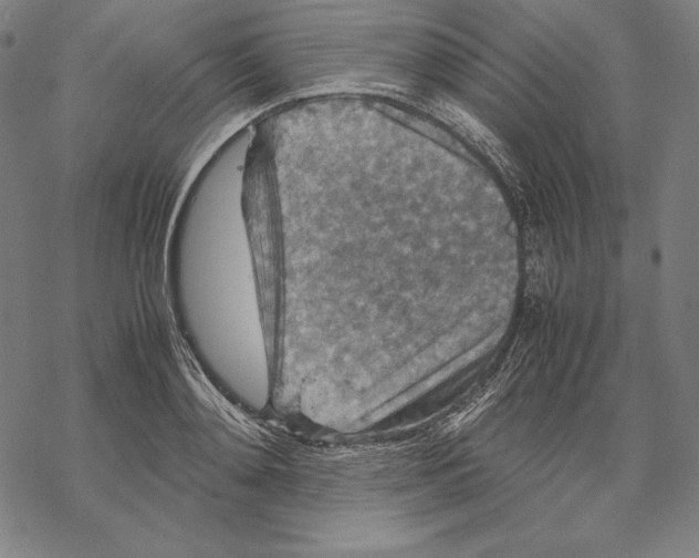 X0000067850892200605111705