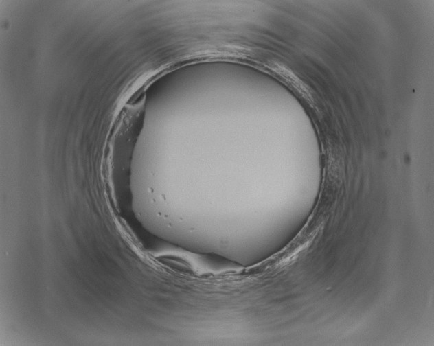 X0000067850893200605111705