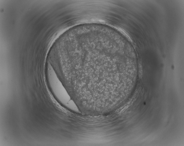 X0000067850895200605111705