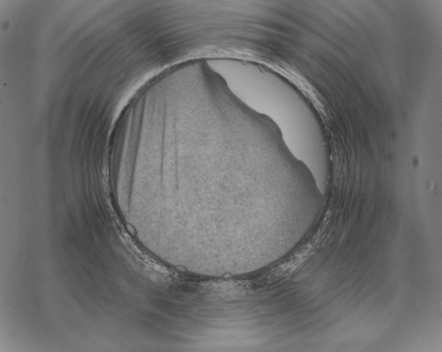 X0000067850896200605111705