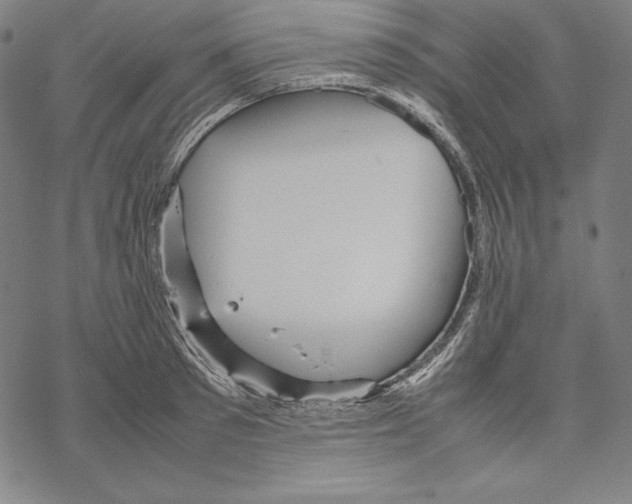 X0000067850897200605111705