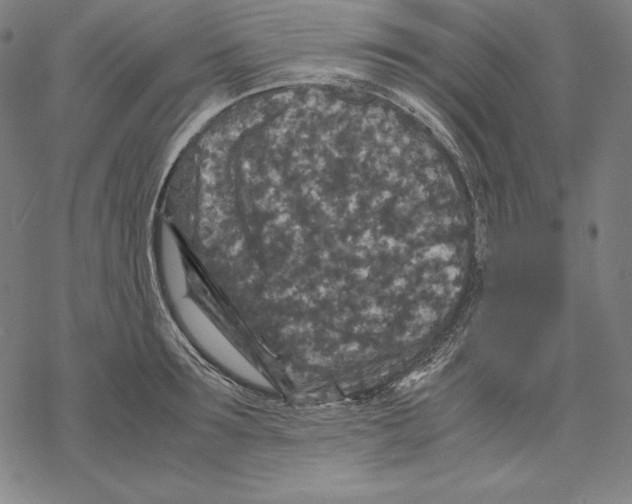 X0000067850899200605111705