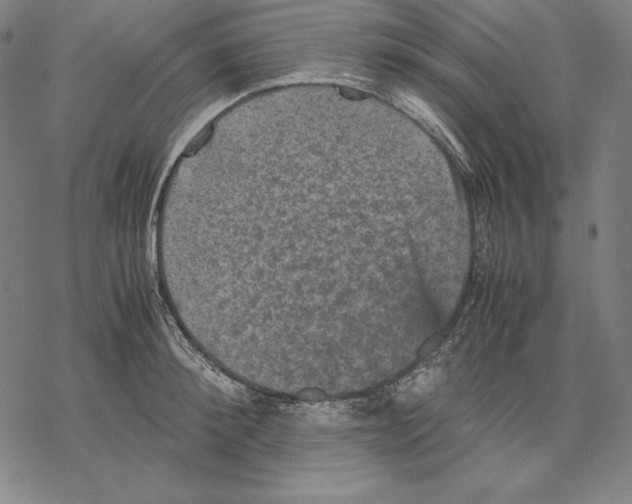 X0000067850900200605111705