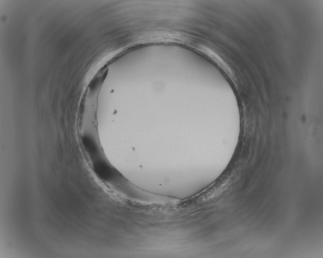 X0000067850901200605111705