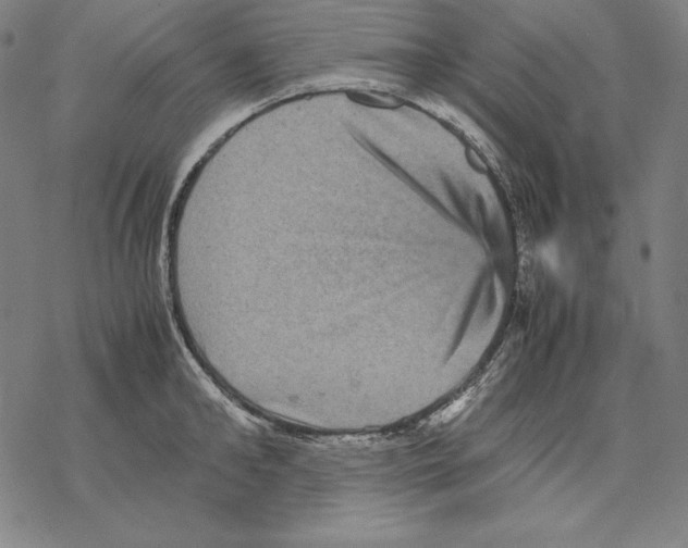 X0000067850902200605111705