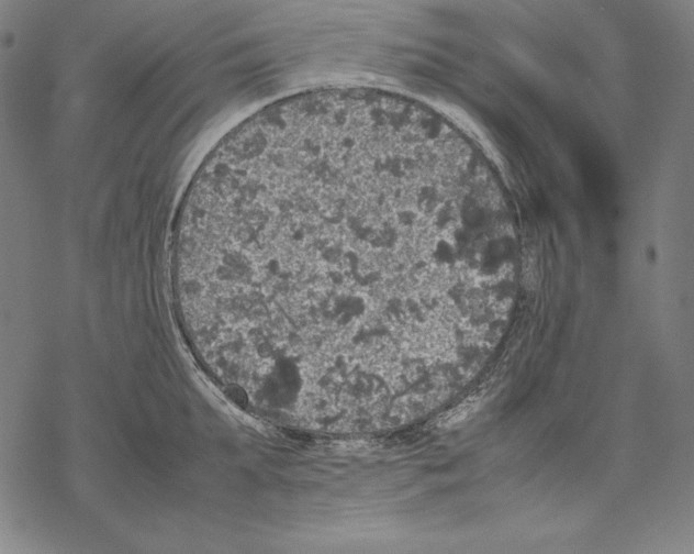 X0000067850903200605111705