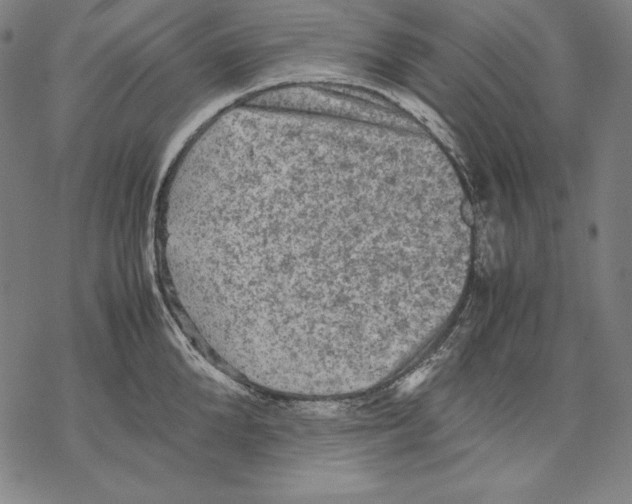 X0000067850904200605111705