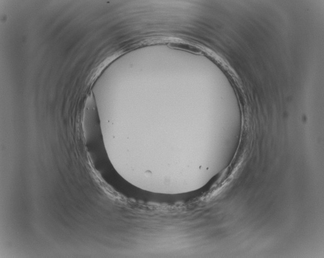 X0000067850905200605111705