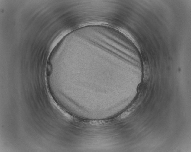 X0000067850906200605111705