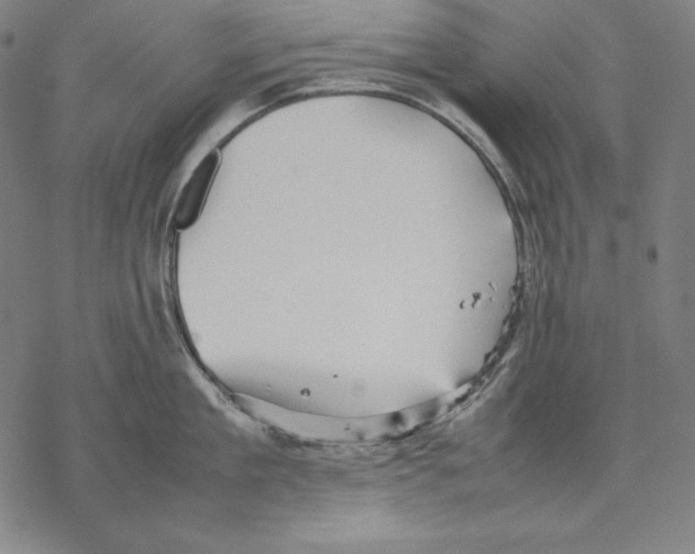 X0000067850909200605111705