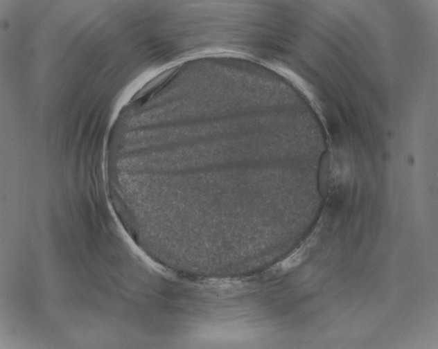 X0000067850910200605111705