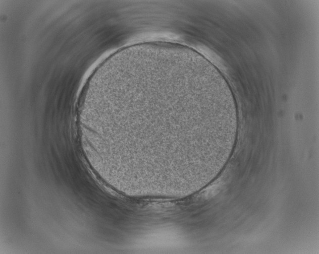 X0000067850912200605111705