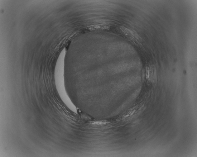 X0000067850915200605111704