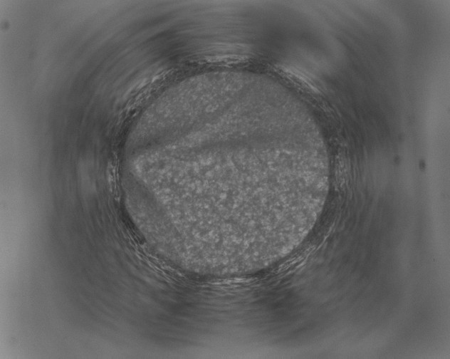 X0000067850917200605111704