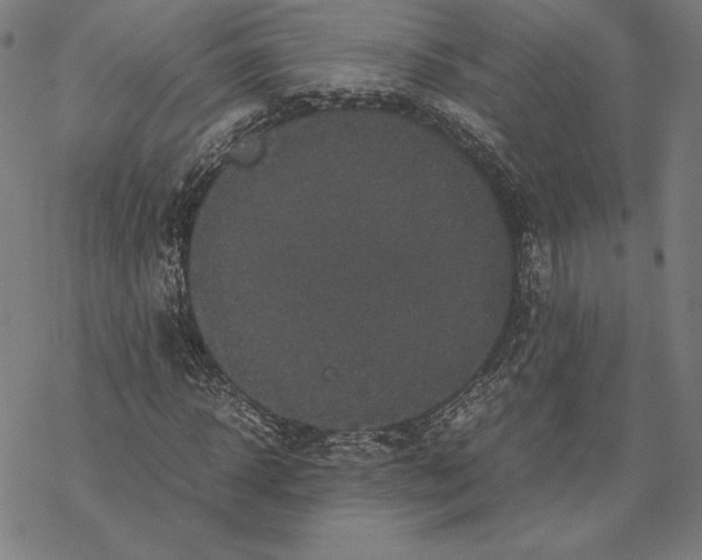 X0000067850918200605111704