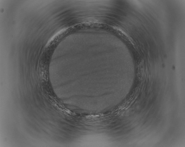 X0000067850919200605111704