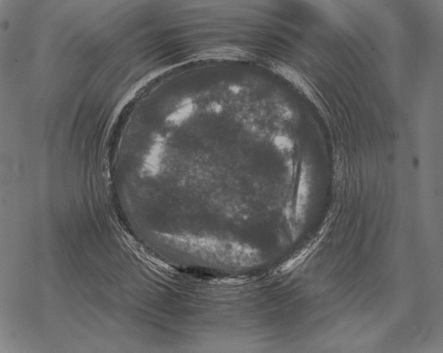 X0000067850923200605111704