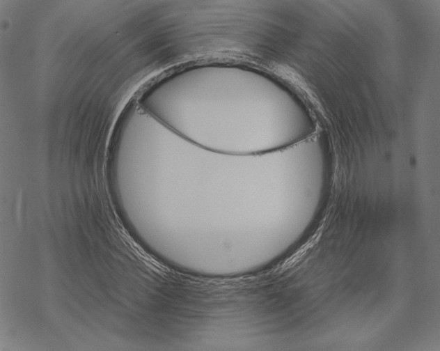 X0000067850924200605111704