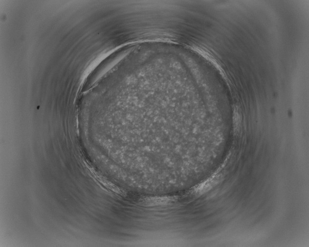 X0000067850925200605111704