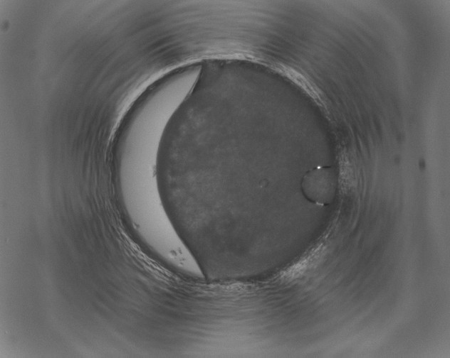 X0000067850926200605111704