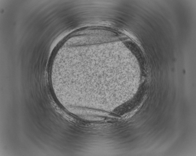 X0000067850928200605111704