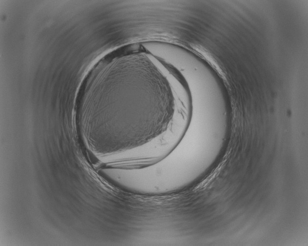 X0000067850932200605111704