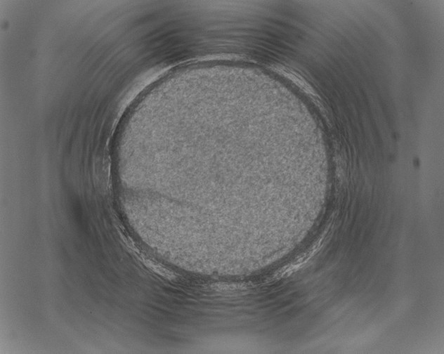 X0000067850933200605111704