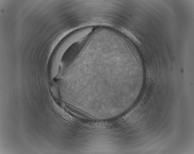 X0000067850934200605111704