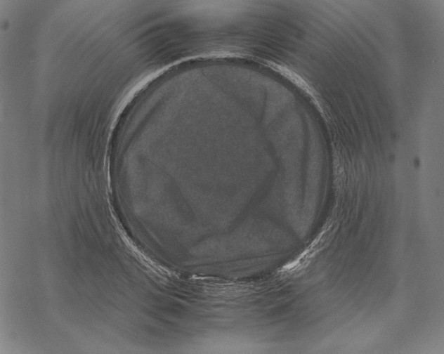 X0000067850935200605111704