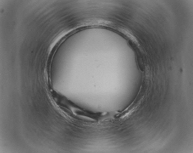 X0000067850936200605111704