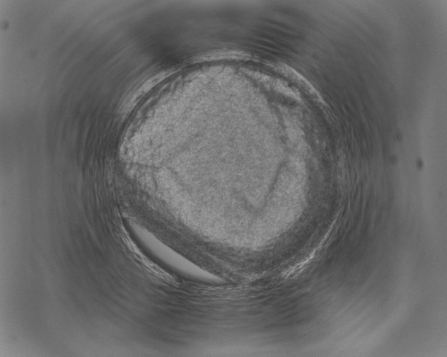 X0000067850937200605111704