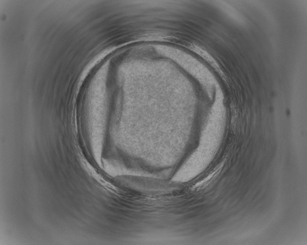 X0000067850939200605111704