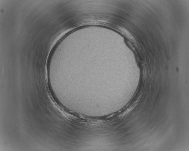 X0000067850940200605111704