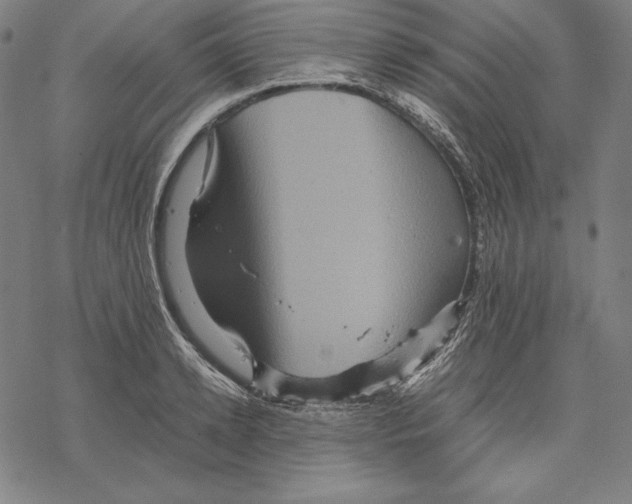 X0000067850942200605111704