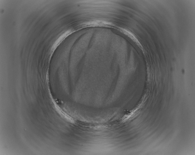 X0000067850946200605111705