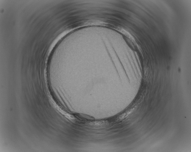 X0000067850947200605111705