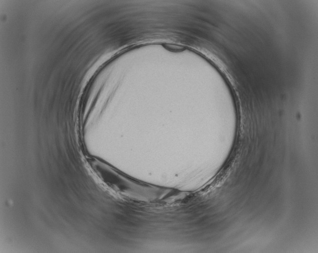 X0000067850949200605111705