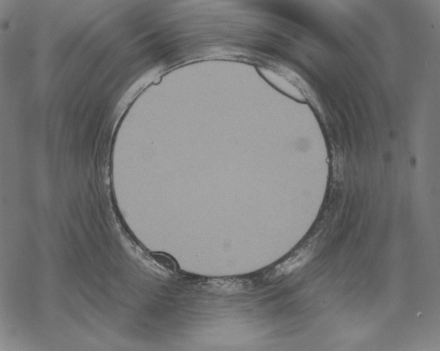 X0000067850954200605111705